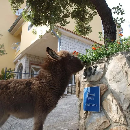 Dumicic * スペタルスカ・ドラガ