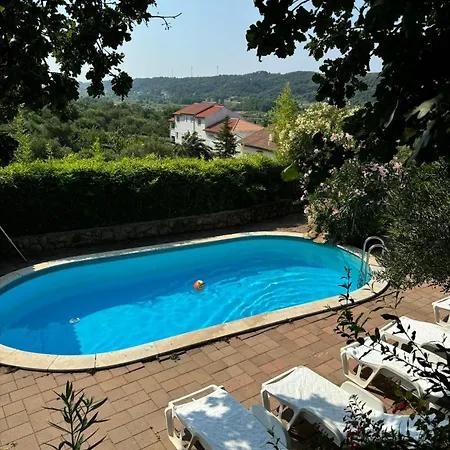 Dumicic *