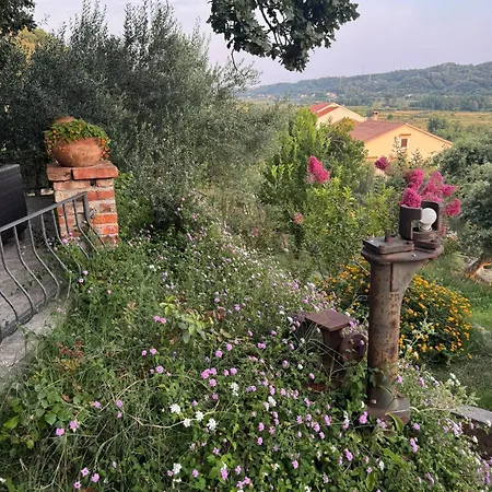 Dumicic Supetarska Draga