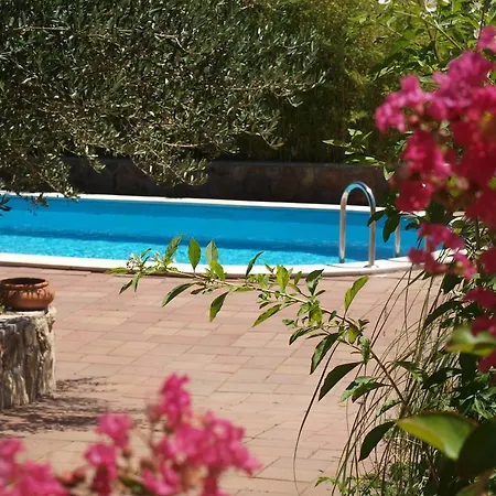 Dumicic Apartment