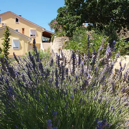 Dumicic Daire Supetarska Draga