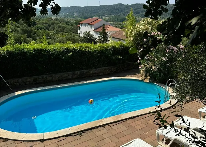 Dumicic *