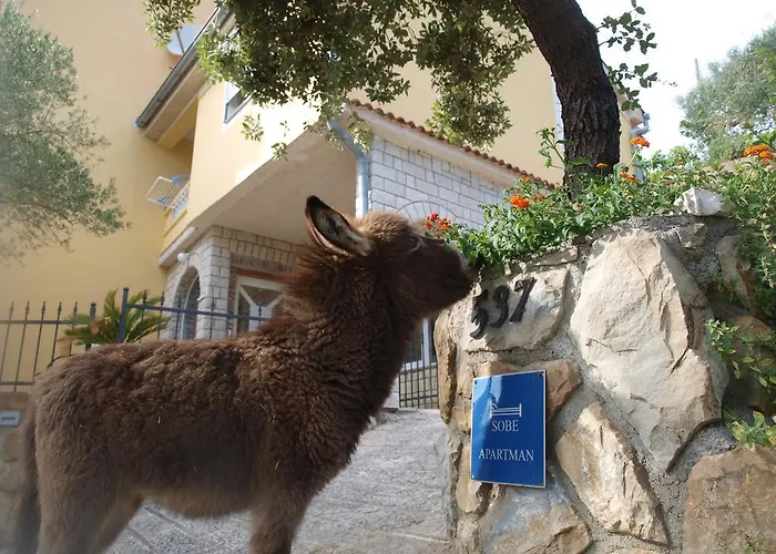 Dumicic * Supetarska Draga